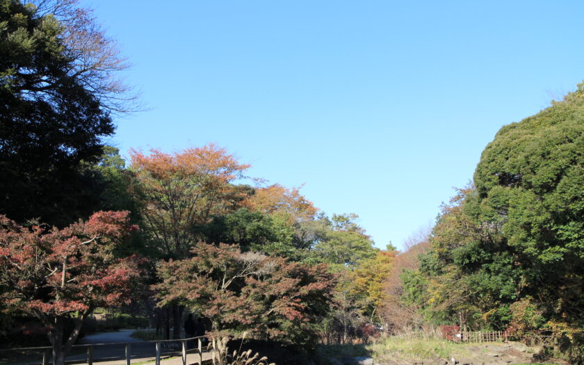 鎌倉中央公園

